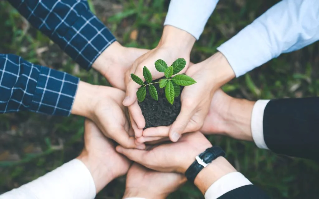Sustentabilidade nas Escolas projeto CSTR